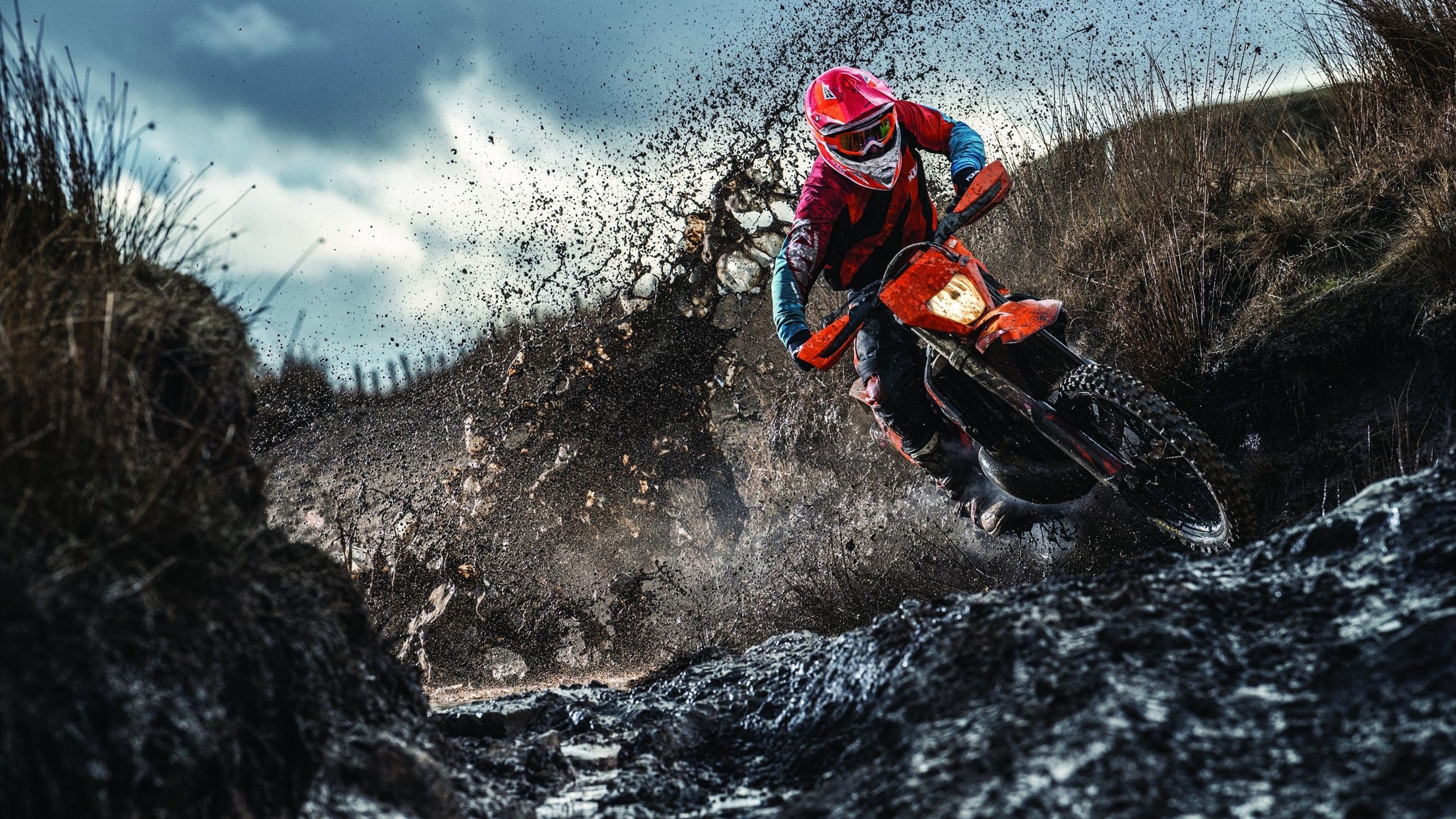 开拓者封锁黄蜂，字母哥成为关键先生